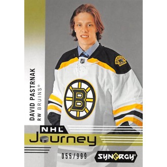 Insertní karty - Pastrňák David - 2019-20 Synergy NHL Journey Draft Day No.NP8