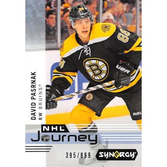 Insertní karty - Pastrňák David - 2019-20 Synergy NHL Journey Rookie Season No.NP8