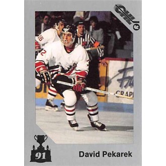 Řadové karty - Pekárek David - 1991 7th Inning Sketch Memorial Cup No.66