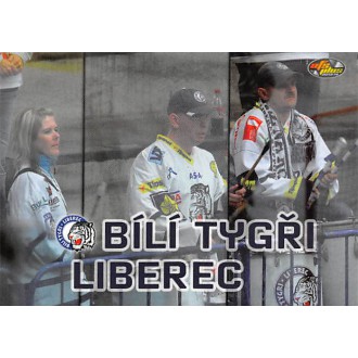 Extraliga OFS - Bílí Tygři Liberec - 2013-14 OFS Klubová karta No.13