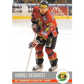 Extraliga OFS - Nedorost Andrej - 2004-05 OFS No.382