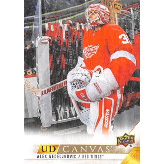 Insertní karty - Nedeljkovic Alex - 2022-23 Upper Deck Canvas No.31