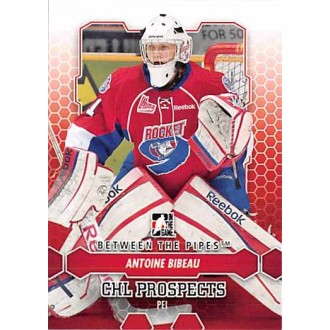 Řadové karty - Bibeau Antoine - 2012-13 Between the Pipes No.46