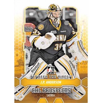Řadové karty - Anderson J.P. - 2012-13 Between the Pipes No.65