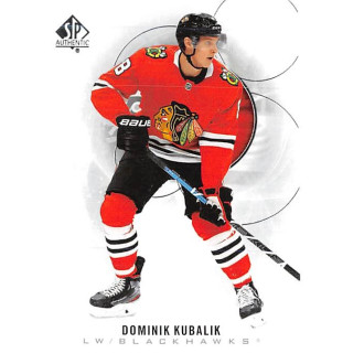 Řadové karty - Kubalík Dominik - 2020-21 SP Authentic No.75