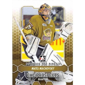 Řadové karty - Machovsky Matej - 2012-13 Between the Pipes No.7