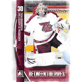 Řadové karty - D’Agostini Andrew - 2013-14 Between the Pipes No.24