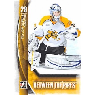 Řadové karty - Dupuis Taylor - 2013-14 Between the Pipes No.76