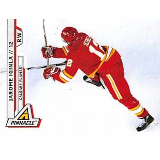 Řadové karty - Iginla Jarome - 2010-11 Pinnacle No.171