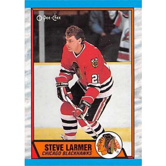 Řadové karty - Larmer Steve - 1989-90 O-Pee-Chee No.179