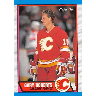 Řadové karty - Roberts Gary - 1989-90 O-Pee-Chee No.202