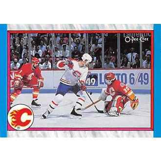 Řadové karty - Calgary Flames - 1989-90 O-Pee-Chee No.300