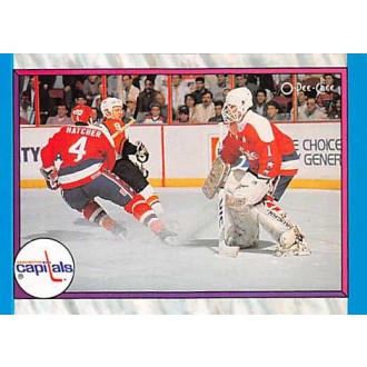 Řadové karty - Washington Capitals - 1989-90 O-Pee-Chee No.317