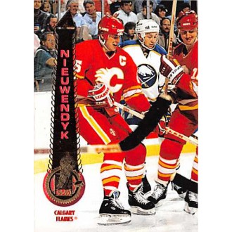 Řadové karty - Nieuwendyk Joe - 1994-95 Pinnacle No.90