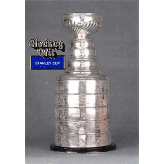 Řadové karty - Stanley Cup - 1994-95 Hockey Wit No.15