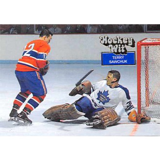 Řadové karty - Sawchuk Terry - 1994-95 Hockey Wit No.83
