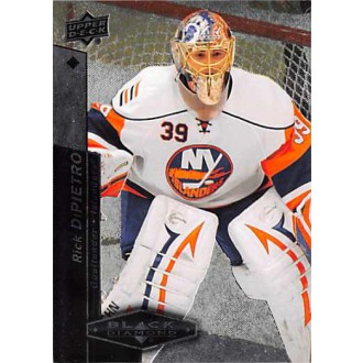 Řadové karty - DiPietro Rick - 2010-11 Black Diamond No.76
