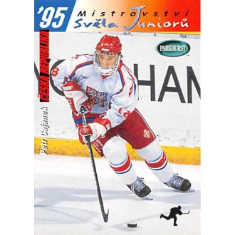 Řadové karty - Čajánek Petr - 1994-95 Parkhurst SE No.SE214
