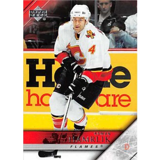 Řadové karty - Hamrlík Roman - 2005-06 Upper Deck No.278