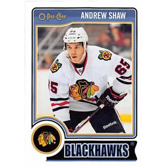 Řadové karty - Shaw Andrew - 2014-15 O-Pee-Chee No.134