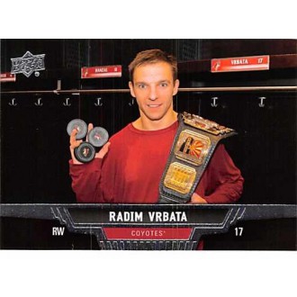 Řadové karty - Vrbata Radim - 2013-14 Upper Deck No.294