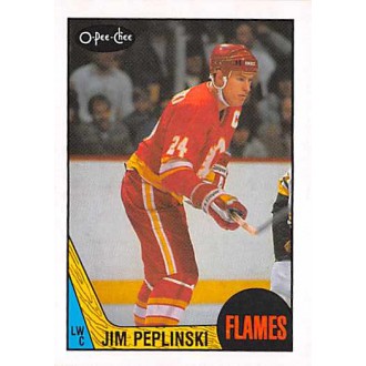 Řadové karty - Peplinski Jim - 1987-88 O-Pee-Chee No.209