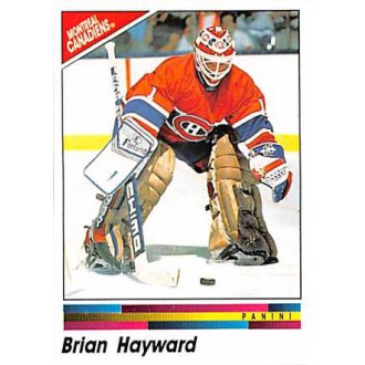 Řadové karty - Hayward Brian - 1990-91 Panini Stickers No.61