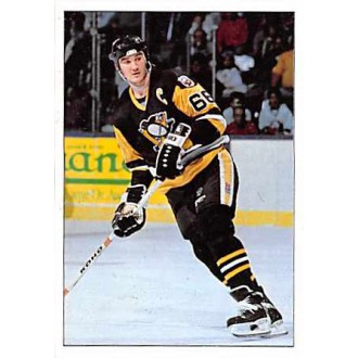 Řadové karty - Lemieux Mario - 1990-91 Panini Stickers No.326