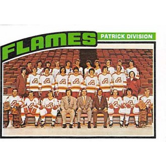 Řadové karty - Atlanta Flames - 1976-77 Topps No.132