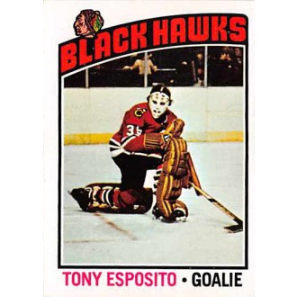 Řadové karty - Esposito Tony - 1976-77 Topps No.100