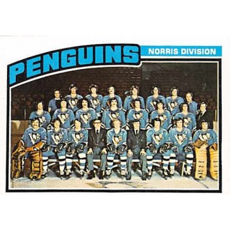 Řadové karty - Pittsburg Penguins - 1976-77 Topps No.145
