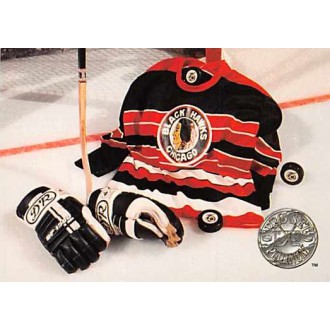 Řadové karty - Chicago Blackhawks - 1991-92 Pro Set Platinum No.146
