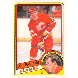 Řadové karty - Peplinski Jim - 1984-85 O-Pee-Chee No.233