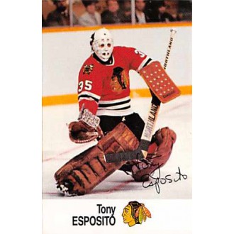 Řadové karty - Esposito Tony - 1988-89 Esso All-Stars