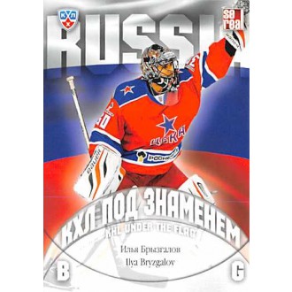 Karty KHL - Bryzgalov Ilya - 2013-14 Sereal KHL Under The Flag No.WCH-045