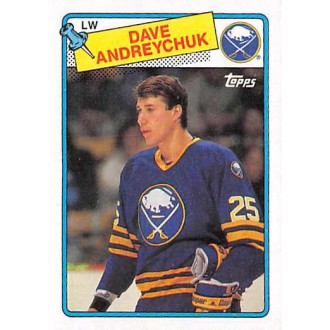 Řadové karty - Andreychuk Dave - 1988-89 Topps No.163