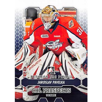 Řadové karty - Pavelka Jaroslav - 2012-13 Between The Pipes No.22