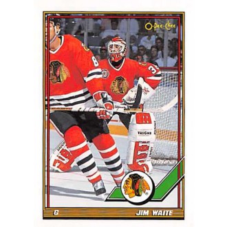 Řadové karty - Waite Jimmy - 1991-92 O-Pee-Chee No.127