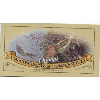 Řadové karty - Northern Red Sea - 2009-10 Champs No.416