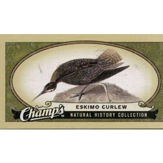 Řadové karty - Eskimo Curlew - 2009-10 Champs No.483