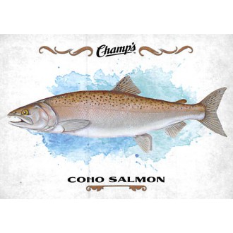 Insertní karty - Fish Coho Salmon - 2015-16 Champs Fish No.F-8