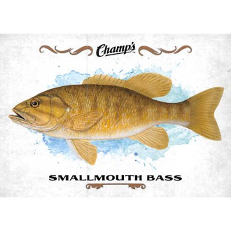 Insertní karty - Fish Smallmouth Bass - 2015-16 Champs Fish No.F-24