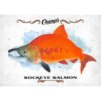 Insertní karty - Fish Sockeye Salmon - 2015-16 Champs Fish No.F-25