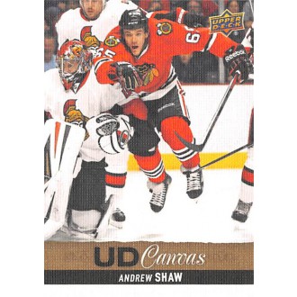 Insertní karty - Shaw Andrew - 2013-14 Upper Deck Canvas No.C174