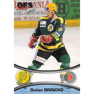 Extraliga OFS - Brincko Dušan - 2006-07 OFS No.196