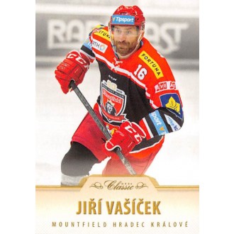 Extraliga OFS - Vašíček Jiří - 2015-16 OFS No.133