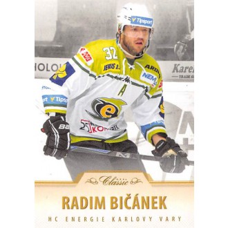 Extraliga OFS - Bičánek Radim - 2015-16 OFS No.189