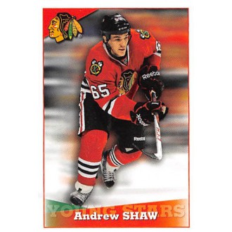 Řadové karty - Shaw Andrew - 2012-13 Panini Stickers No.301