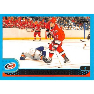 Řadové karty - Brind´Amour Rod - 2001-02 Topps No.216