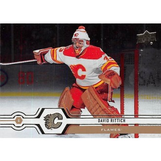 Paralelní karty - Rittich David - 2019-20 Upper Deck Silver Foil No.431